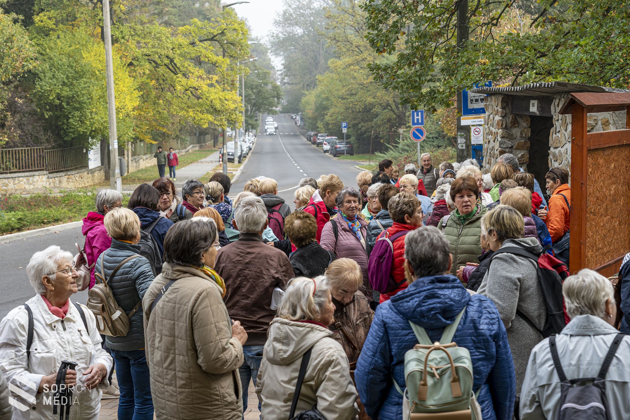 Idősek világnapja és szív világnapja – A jeles dátumok előtti tisztelgésként gyalogtúrát szerveztek a parkerdőben