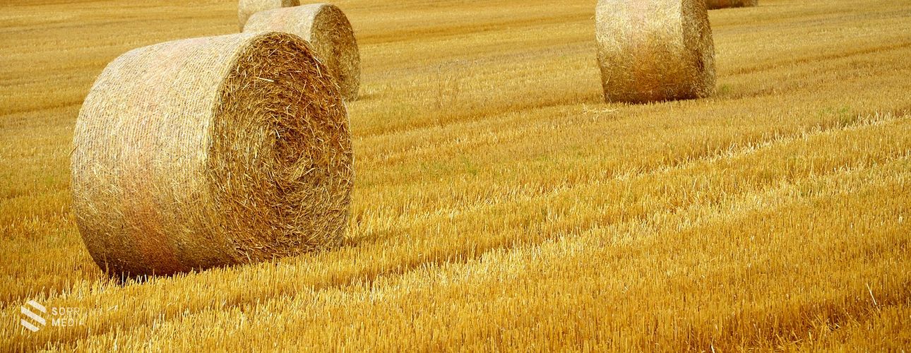 Megkezdődött az idei aratási szezon