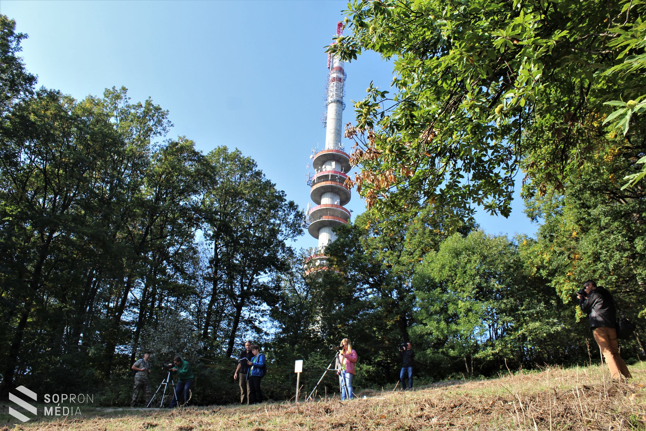 Sopronban rendezték meg az európai erdőismereti tanulmányi versenyt!
(Galéria)