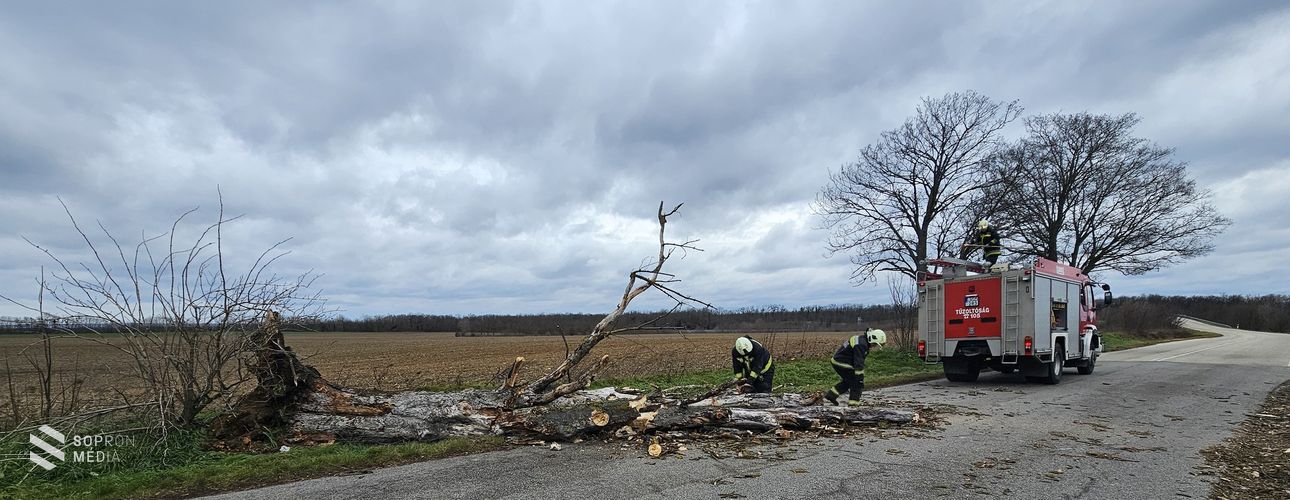 Szenteste 354 tűzoltói beavatkozás volt