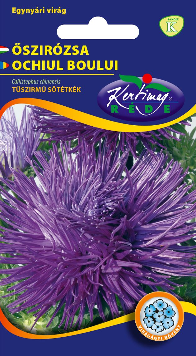 Őszirózsa Tűszirmú  kék 1 g termék képe