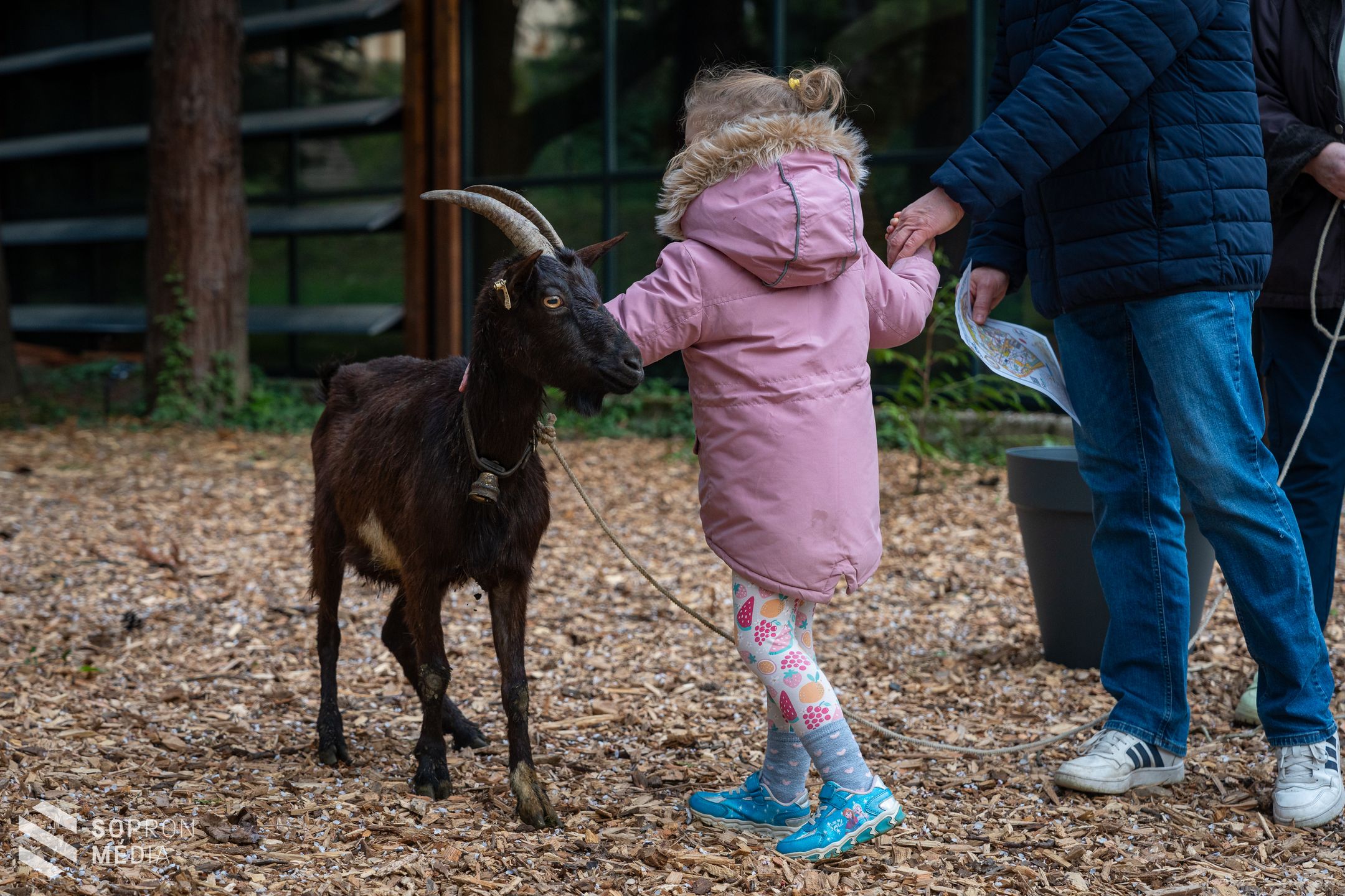 Idén is sokakat csábított a Soproni Egyetem botanikus kertjébe a hagyományos tojáskeresés!