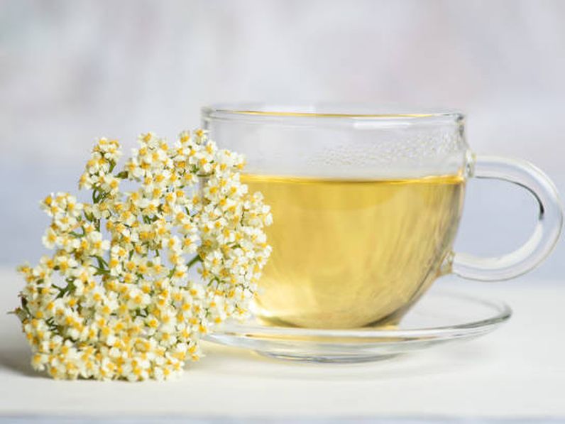 Gyógynövényekkel az ellenállóbb immunrendszerért