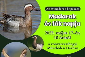 MADARAK ÉS FÁK NAPJA Vonyarcvashegyen szolgáltatás képe