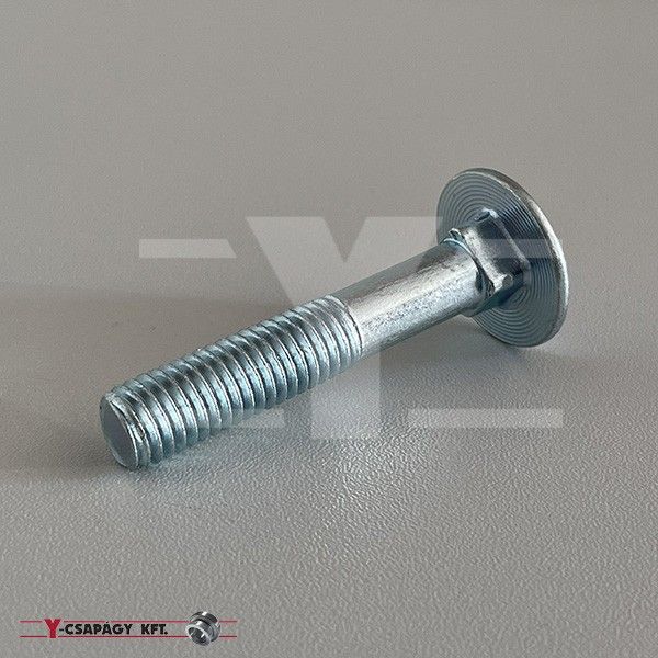 KAPUPÁNT CSAVAR A2 M 10X25