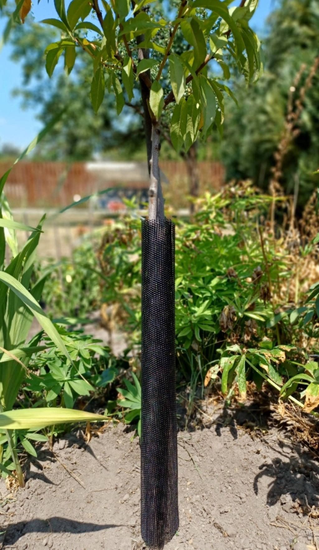 Facsemete védőrács 55 cm, d=11 cm (5 db/cs.) termék képe