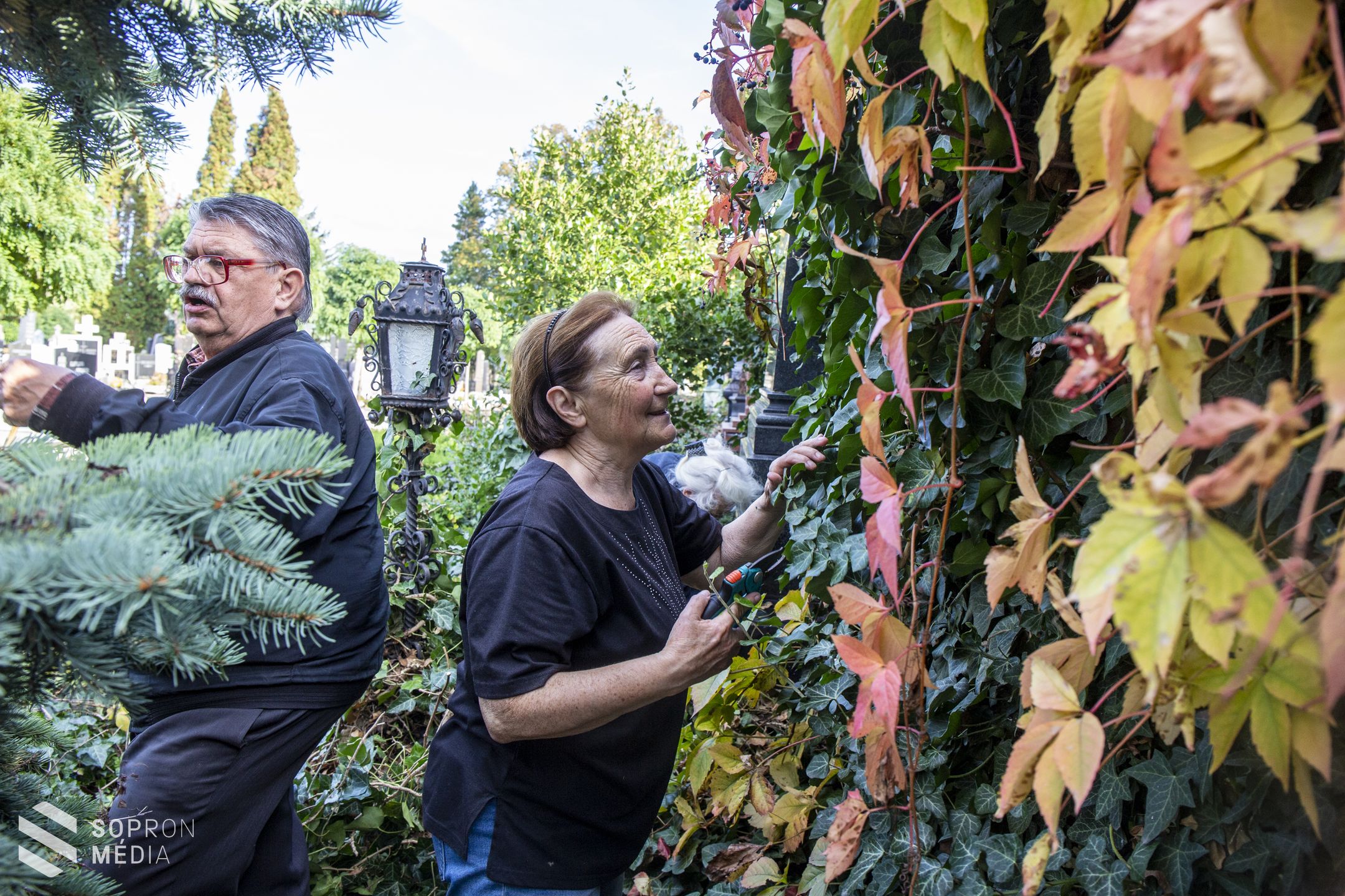 Önkéntesek gondoztak elhagyatott sírokat Sopronban 