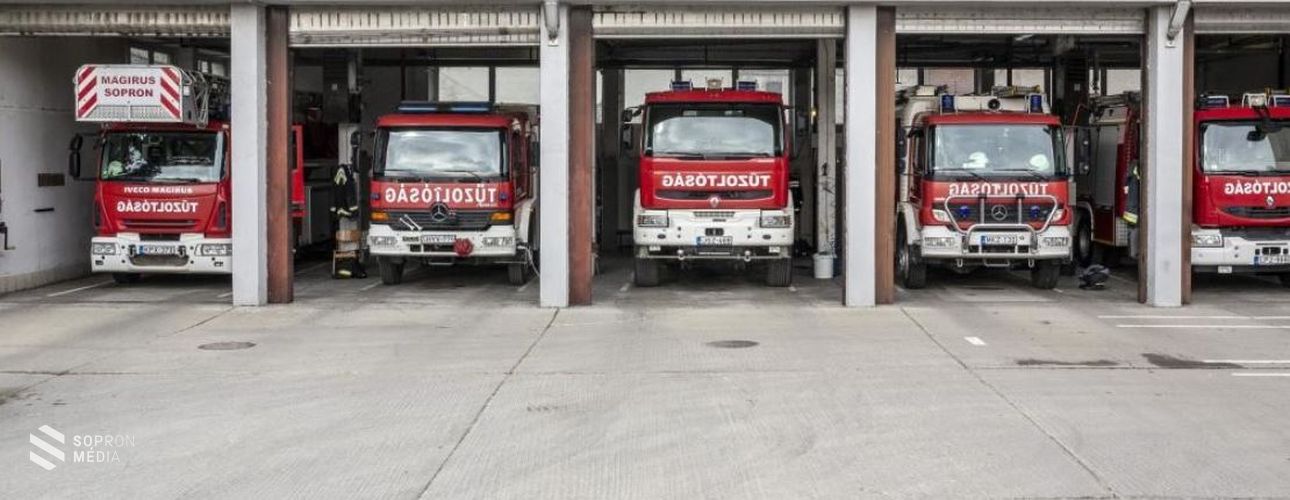 Kidőlt fa és lehasadt faág okozott riadalmat Sopronban
