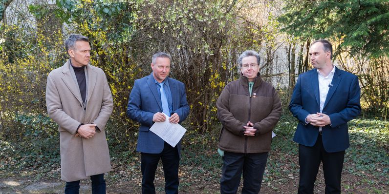 Újra életet lehelnek a soproni Kakasos házba