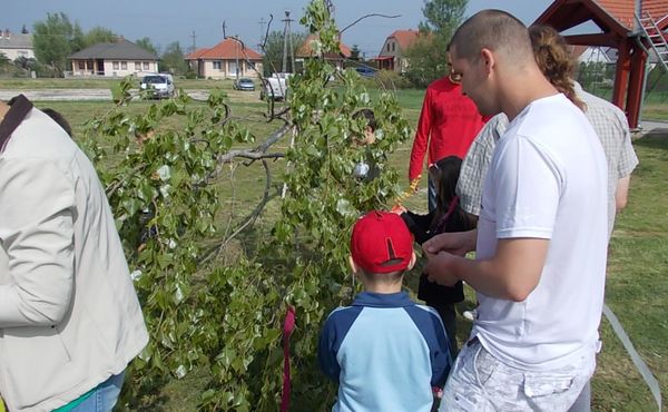 Bikafesztivál és Majális 2013.