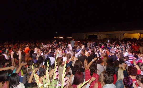 24. Falunap 2013. augusztus 10.