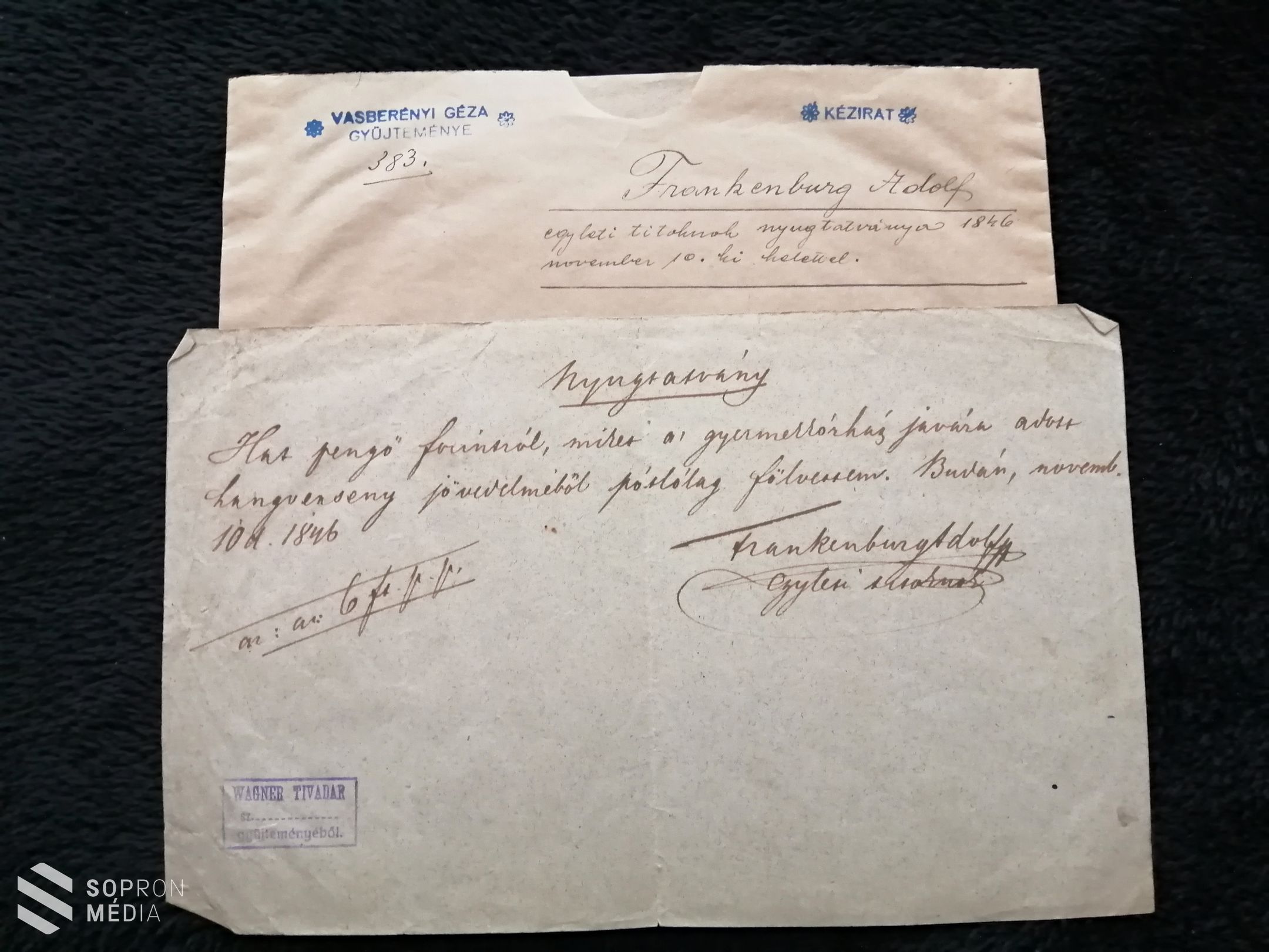 A Soproni Madármentők Alapítvány javára licitálhatnak könyvritkaságokra az állatbarátok és a lokálpatrióták