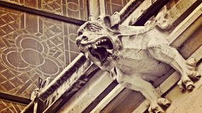 Mágiával uszított farkasok, elszárító varázsszer – ilyen is volt Sopronban!