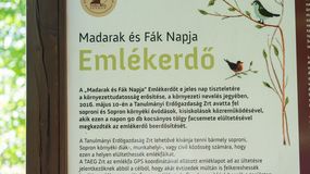 10 éves a Madarak és Fák Napja Emlékerdő Sopronban - elültették az utolsó meggyfát