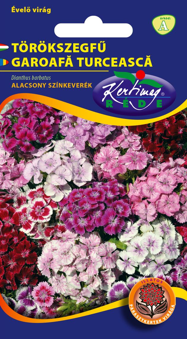 Törökszegfű alacsony 25 cm termék képe