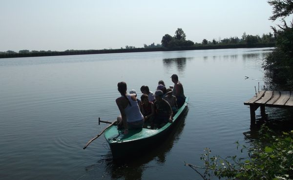 Napközis Tábor 2013