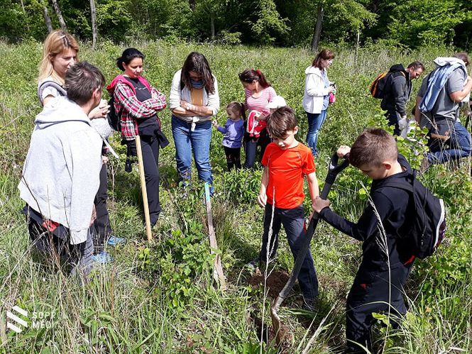 A Tanulmányi Erdőgazdaság Zrt. Muck Endre Erdészeti Erdei Iskolája rendszeresen szervez értékes programot a gyermekek számára.
