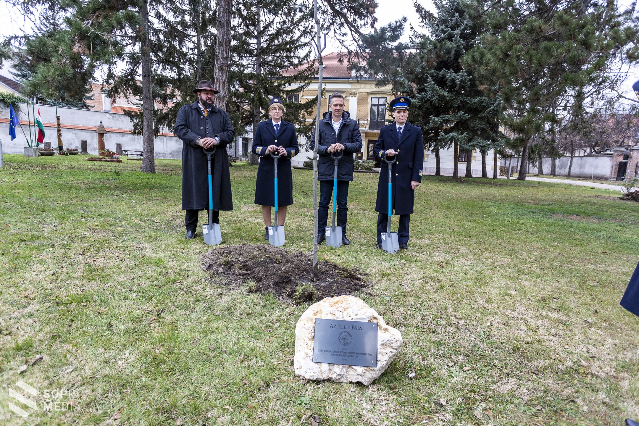Az élet fáját ültették el Sopronban!