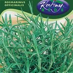 Rozmaring 0,125 g termék képe