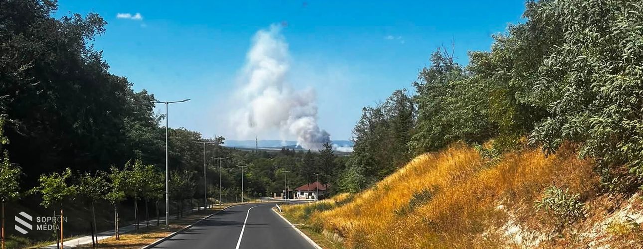 Piuszpusztánál csaptak fel a lángok: negyven hektárt érintett a tegnapi fertőrákosi tűzeset