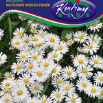 Százszorszép egysz.fehér 0,25g termék képe