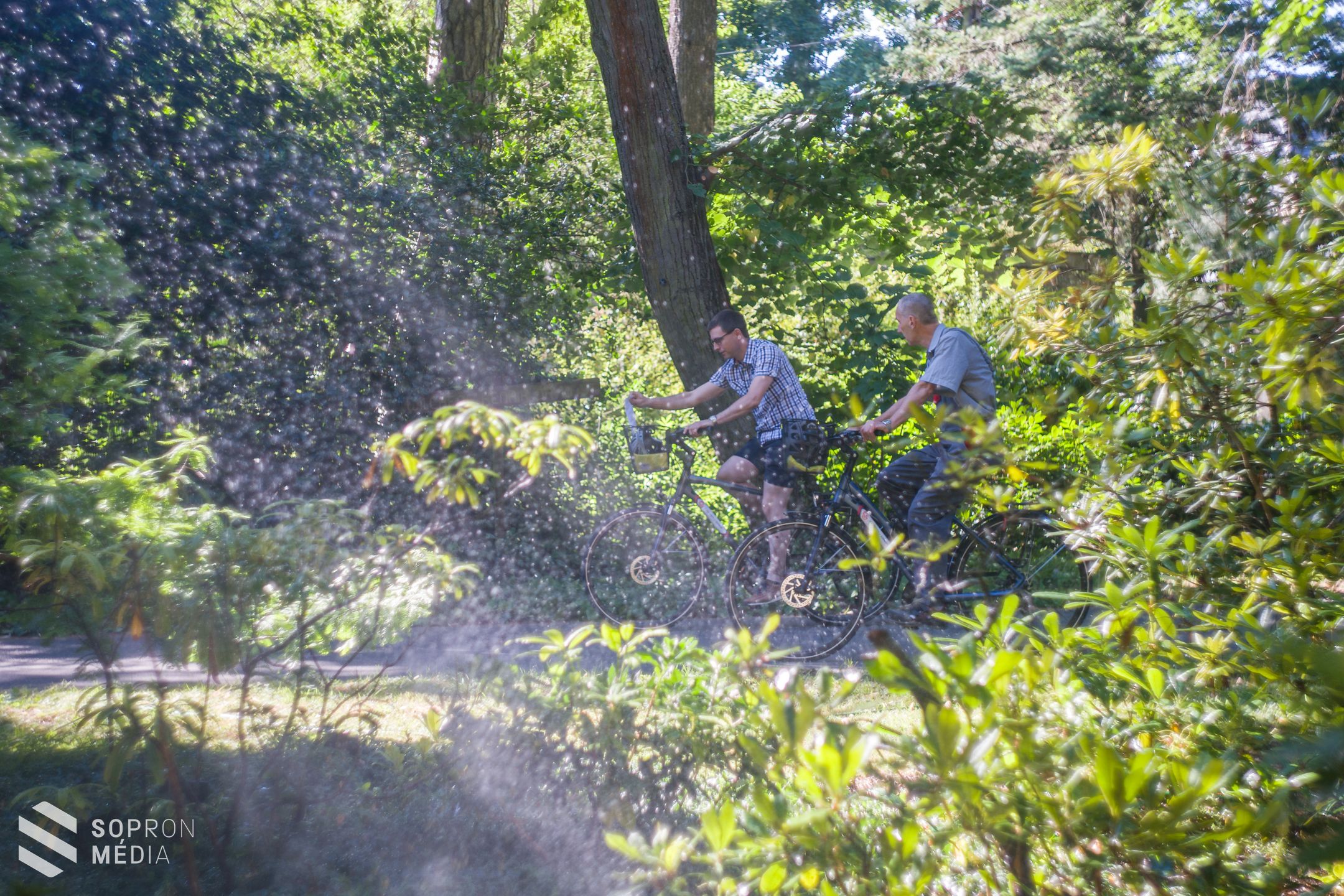 Újabb lépés a még zöldebb Sopronért