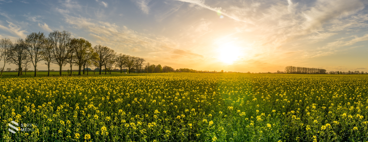 2024 volt a legmelegebb év 1901 óta