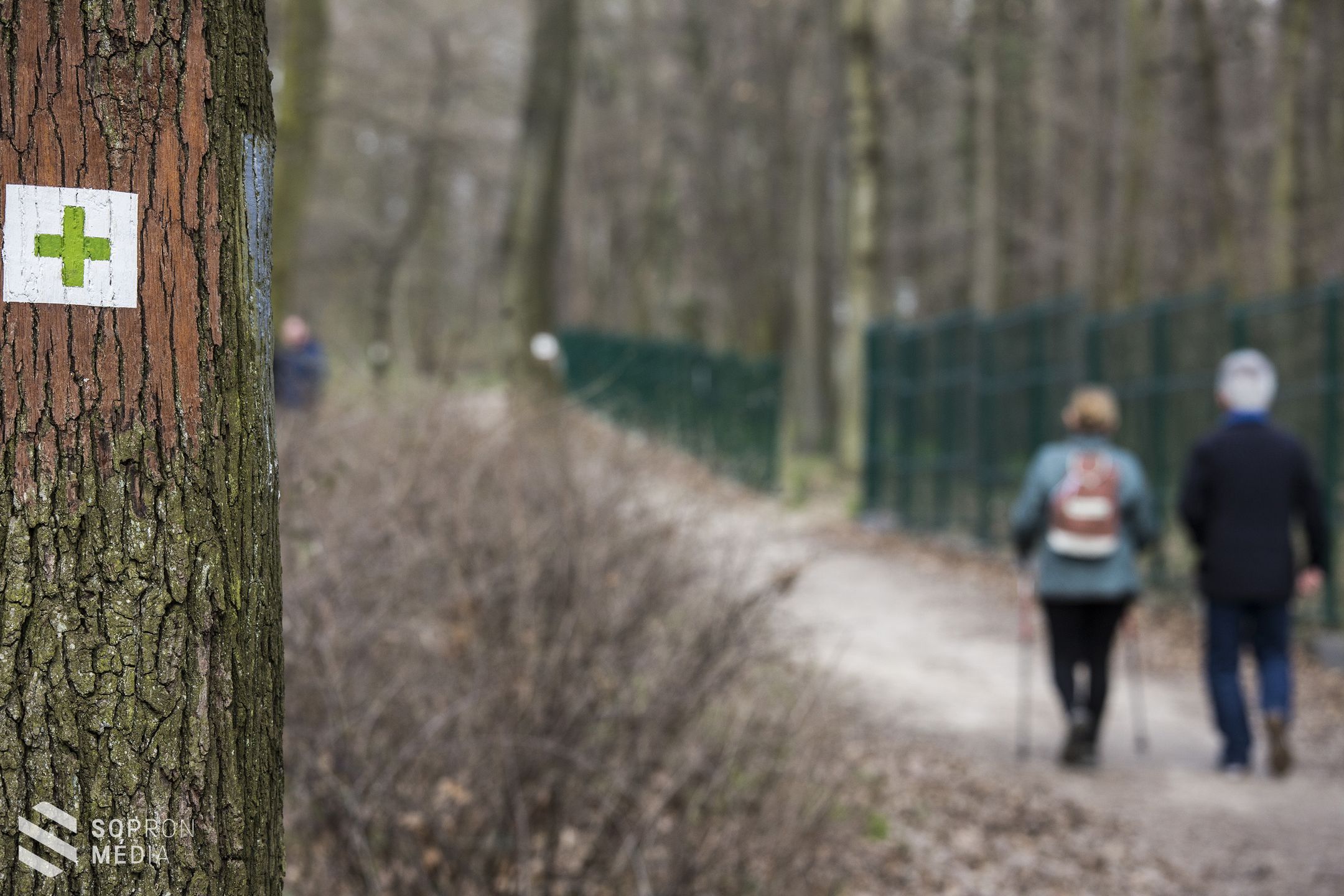Gyalogló klubok – Sopronban több százan csatlakoztak az országos mozgalomhoz