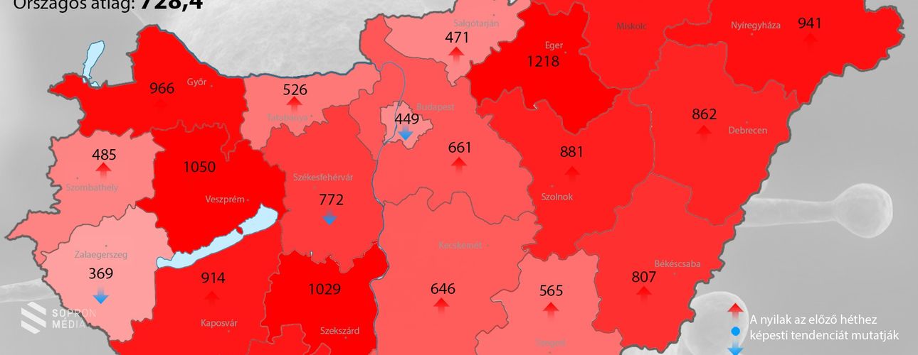 Az elmúlt 8 év legerősebb influenzajárványa tombol Magyarországon