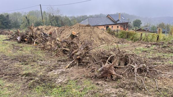 Garabonc rézsűzés, tustóirtás kép