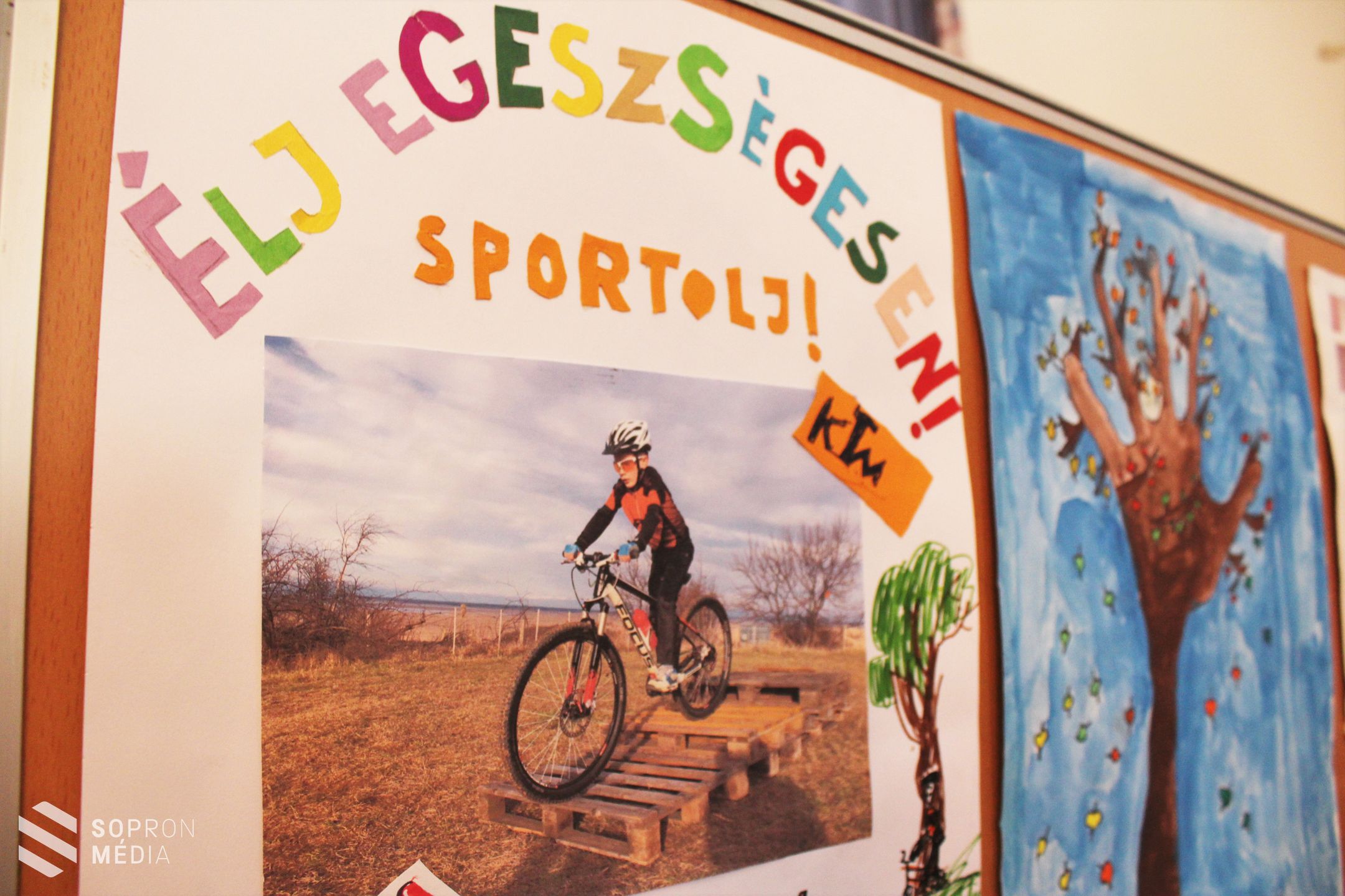 Egészséges Városok: Sopronban is indulnak az idei programok