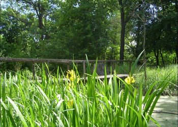 Kastélypark Borsodivánka