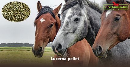 EQUIMINS LUCERNA PELLET 15kg