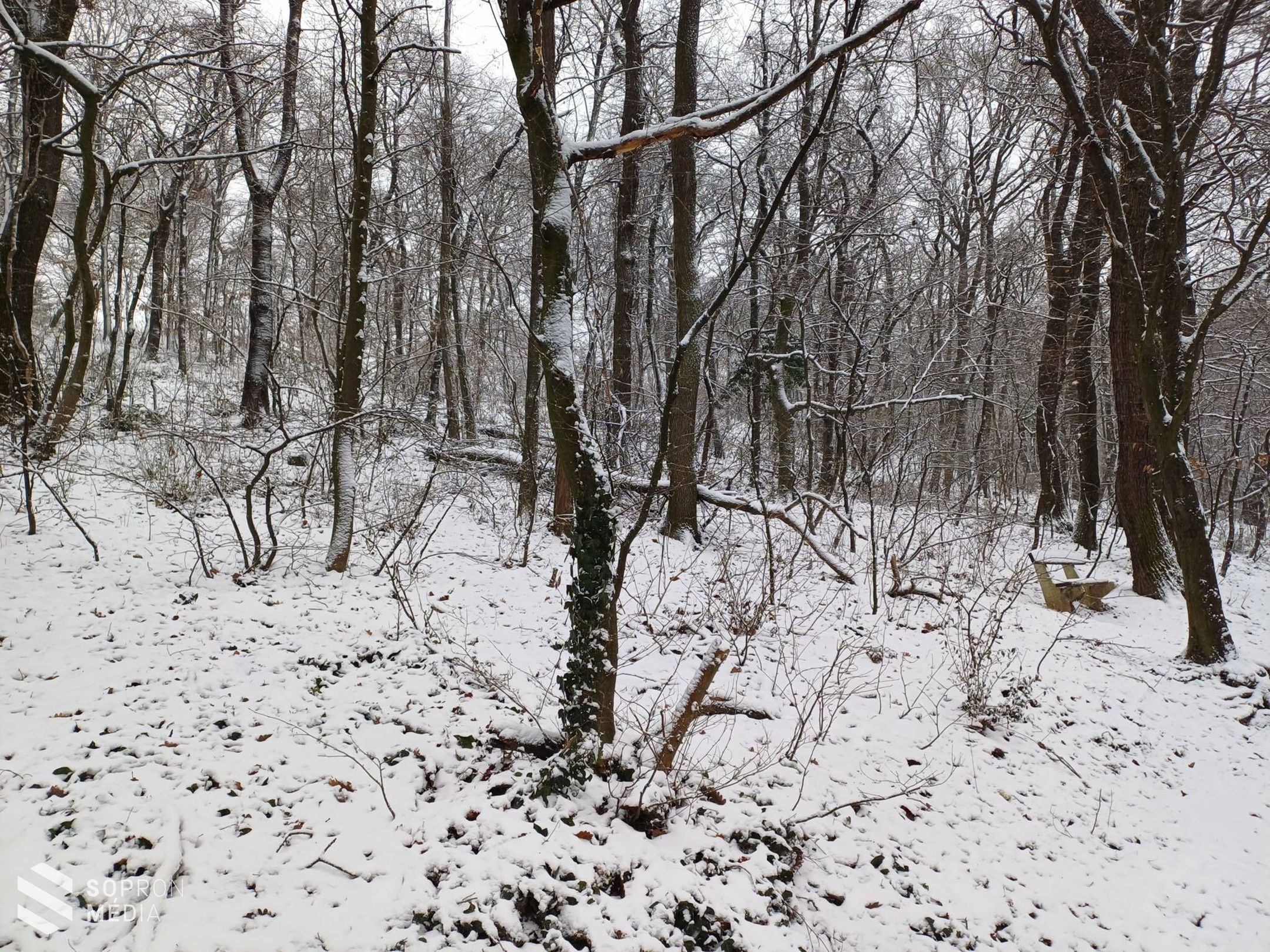 Fehér karácsony Sopronban