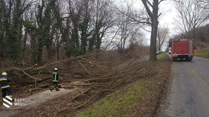 Kollégánk felvétele Fertőboz közelében készült.