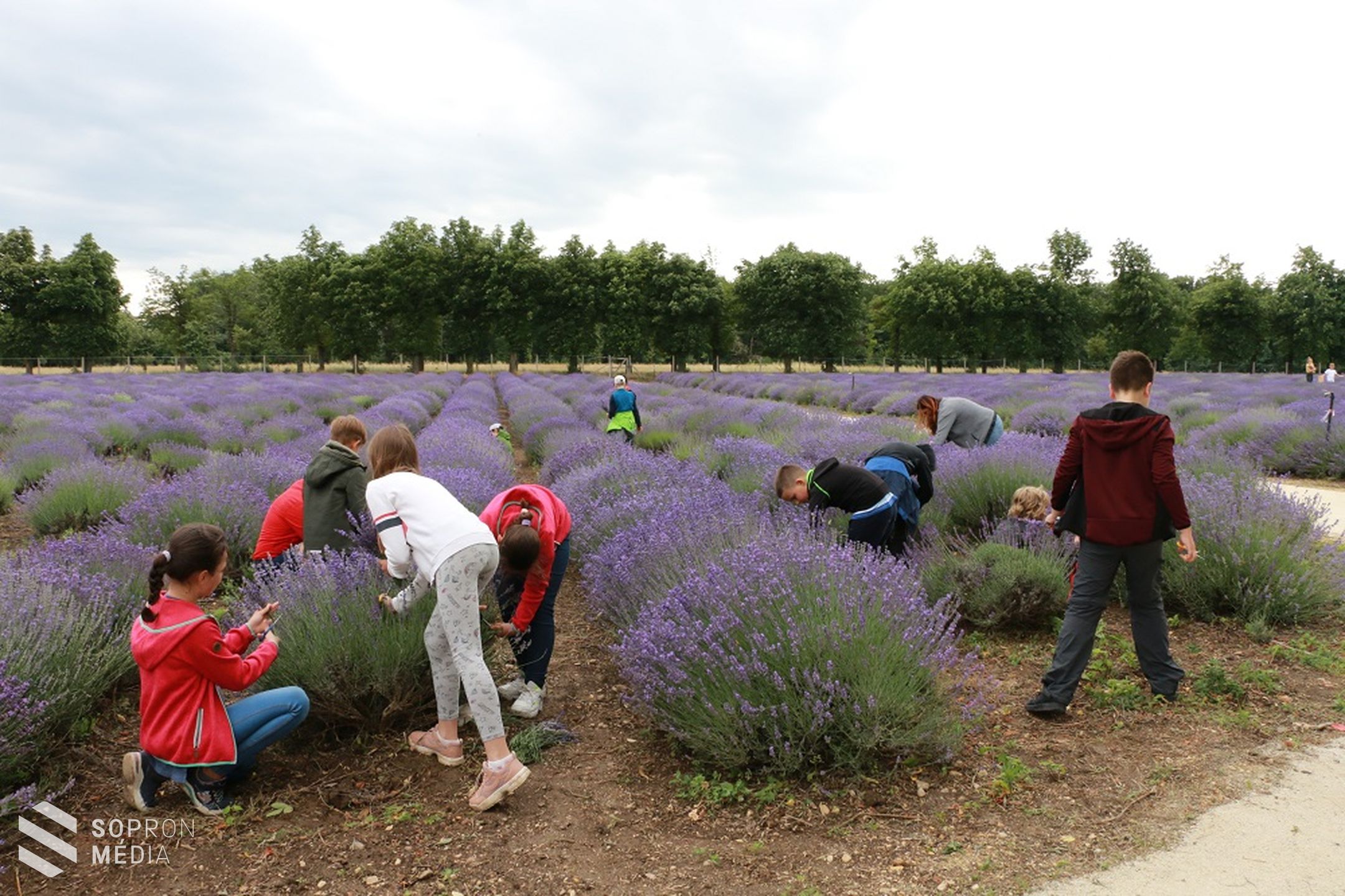 Csoport csoportot követ az Esterházy-kastélyban