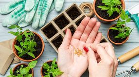 Mik a legfontosabb áprilisi teendők a kertben?