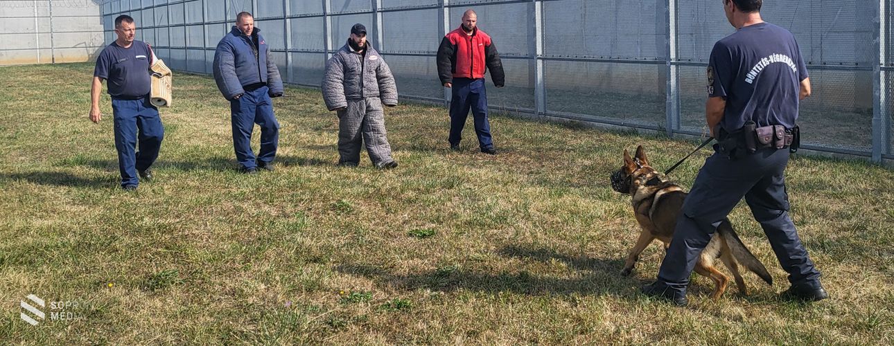 Éves képzésen jártak a sopronkőhidai járőrkutya-vezetők