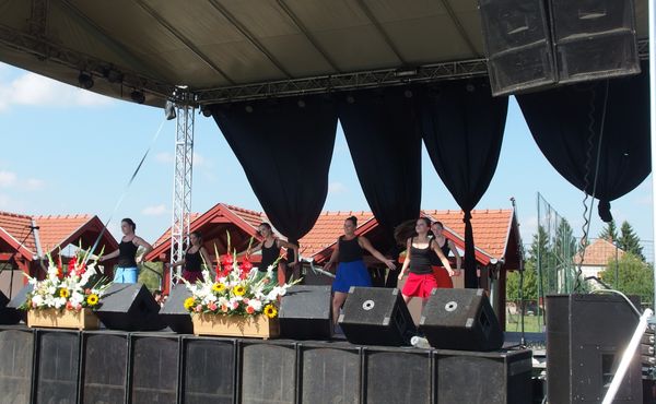 25. Falunap 2014. augusztus 9.
