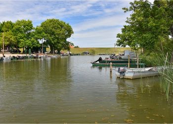 Tisza-tavi Madárrezervátum