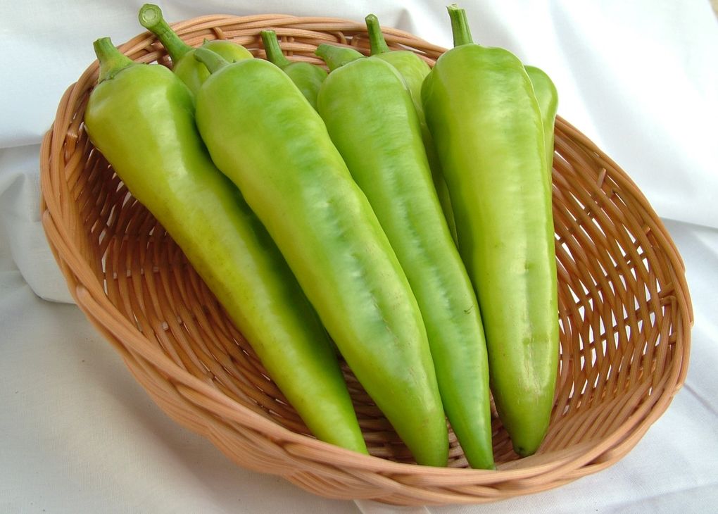 A paprika termesztéséről
