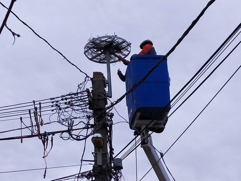 Gólyafészektartót szereltek fel Fertőbozon