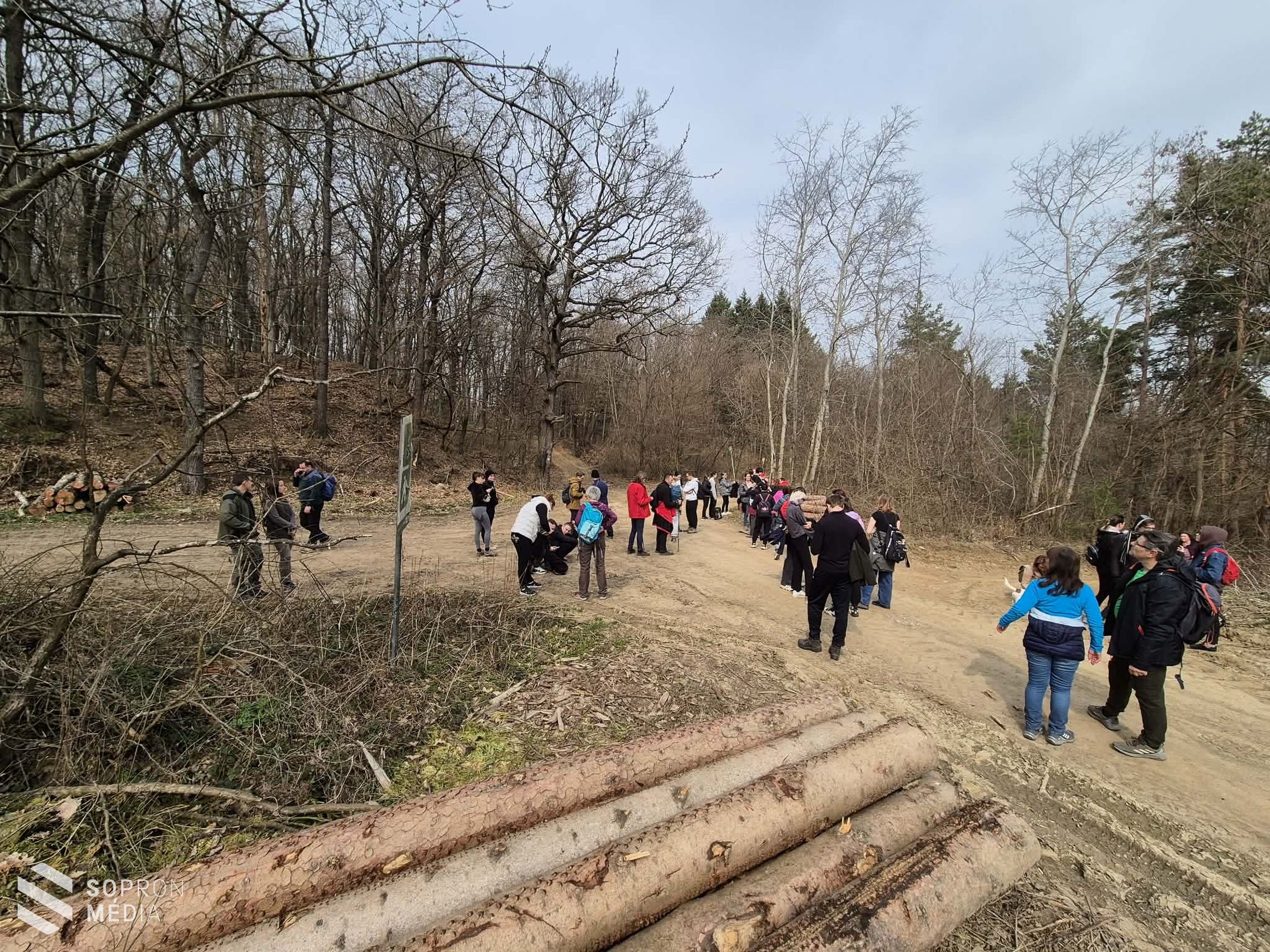 Tavaszköszöntő túrát szerveztek a Soproni-hegységben