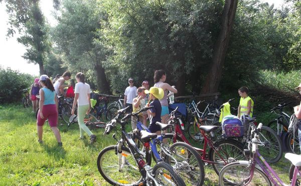 Napközis Tábor 2013