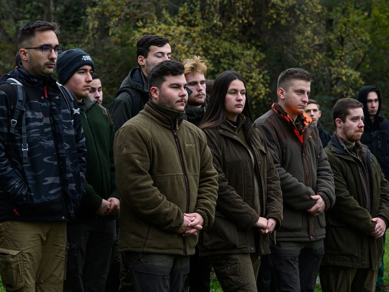 Több mint ezer facsemetét ültettek a Hűségerdőben