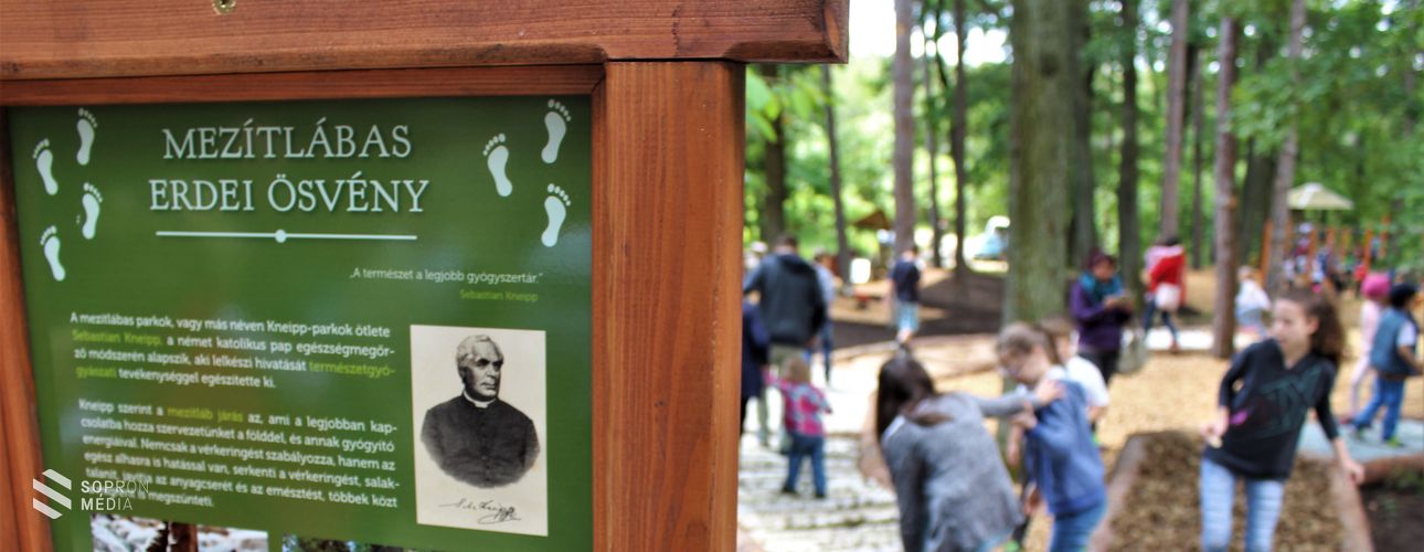 "Erdő Háza" és vadaspark is lesz a Soproni Parkerdőben