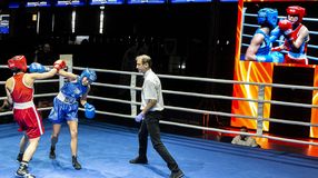 II. West Hungarian Fight - Nemzetközi Küzdősport Gála