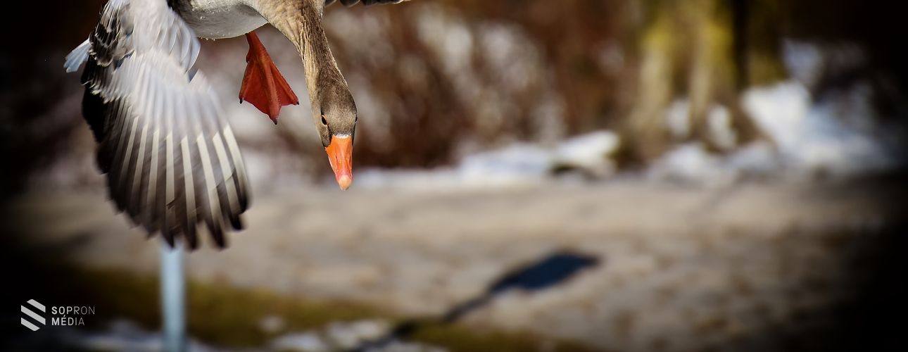 Akkor van esélyünk megvédeni, ha tudunk róla