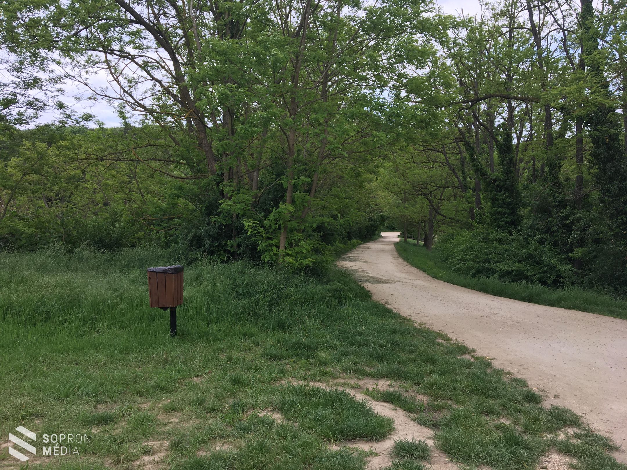 Tómalmi összefogás a tiszta környezetért