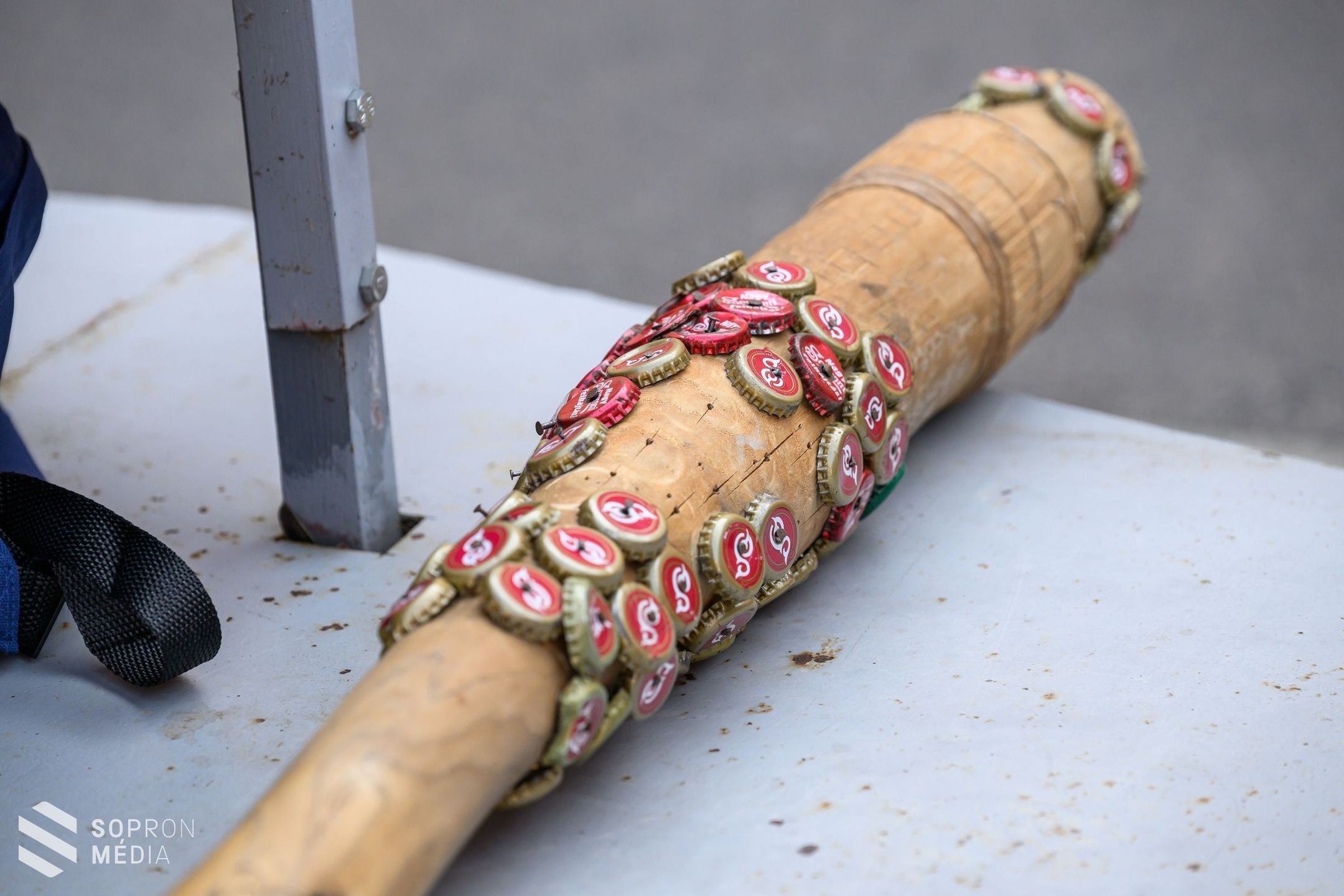 Gólyatábor és balekhét a Soproni Egyetemen